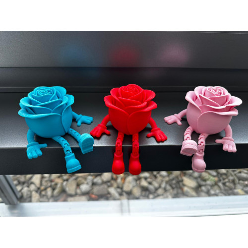 Dein Rosen-Buddy für Büro und Zuhause